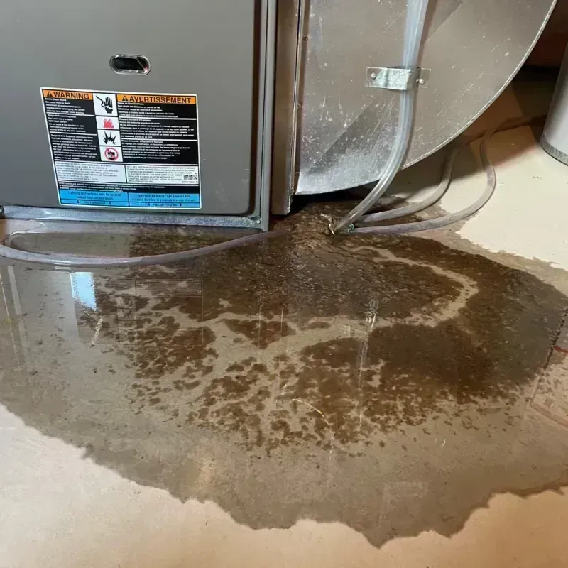 Appliance Leak Cleanup in Warsaw, MO